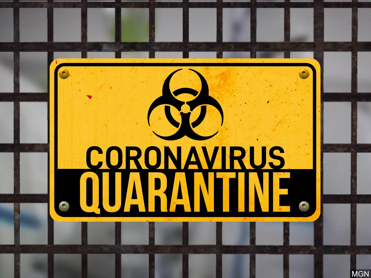 This image has been removed. For security reasons, only images from the local domain are allowed. Image removed.